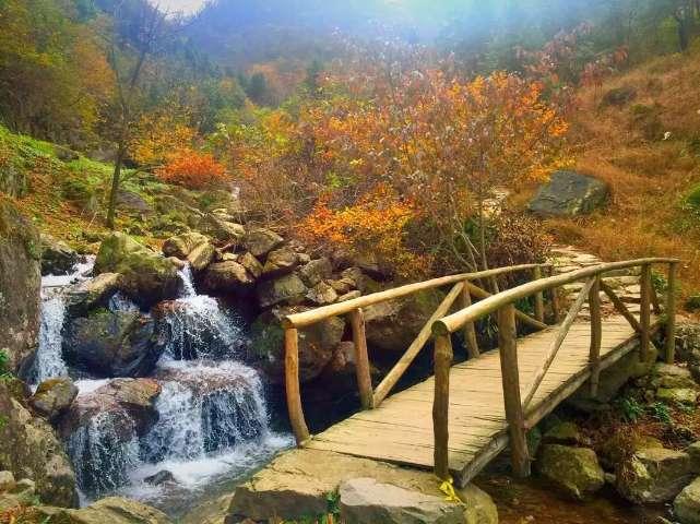牛奶加燕麦有什么好处游戏画面